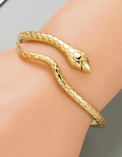 Stylish Cool Snake Shape Vintage Bracelet For Unisex #792741 $16.32 USD, Wholesale Fashion Bracelet