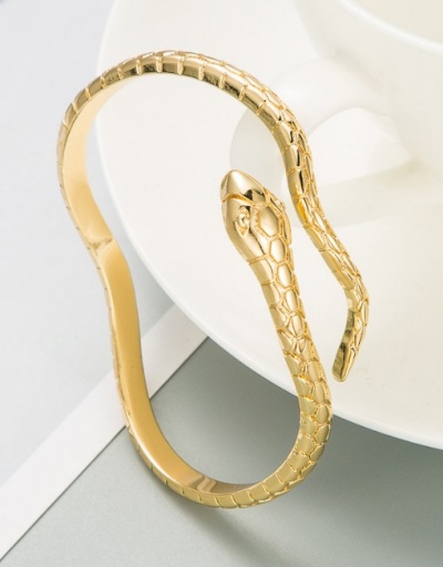 Replica Stylish Cool Snake Shape Vintage Bracelet For Unisex #792741 $16.32 USD for Wholesale