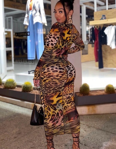 Replica Sexy Leopard Print Maxi Dress Mock Neck Long Sleeve For Women #792925 $22.36 USD for Wholesale