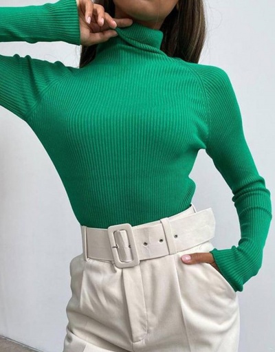 Fitted High Neck Autumn Green Knitted Sweater Long Sleeve Turtle/High Neck #795510 $21.06 USD, Wholesale Fashion Sweaters &amp; Cardigans