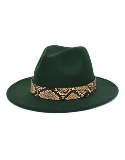 Replica Individual Snake Print Wide Brim Cap #799489 $11.83 USD for Wholesale