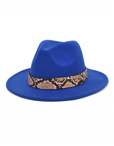 European And American Style Serpentine Fedora Hat #799491 $12.29 USD, Wholesale Fashion Hats